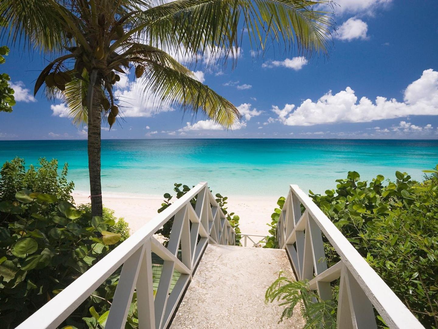 Tranquil Paradise 4Br - 2 Miles To Tampa Bucs Stadium Villa Esterno foto
